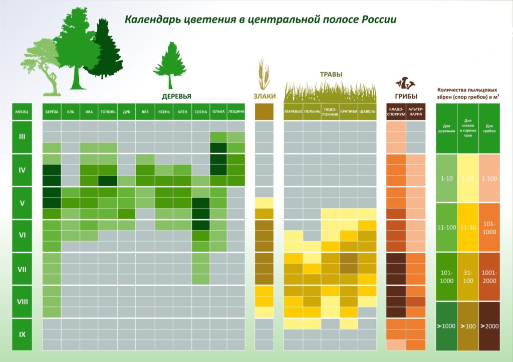 календарь цветения