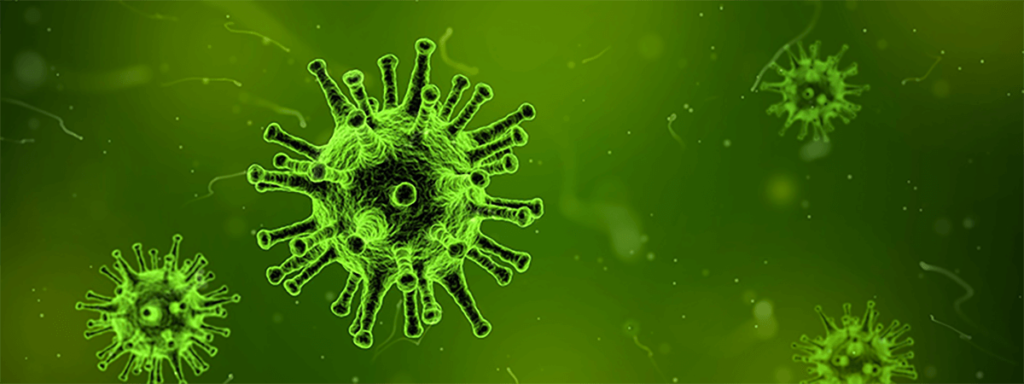 virus0001